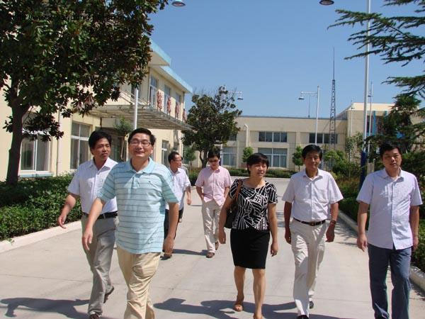 "年产5000立方WDX60特大比表面积吸附树脂技术改造项目”顺利通过省级验收