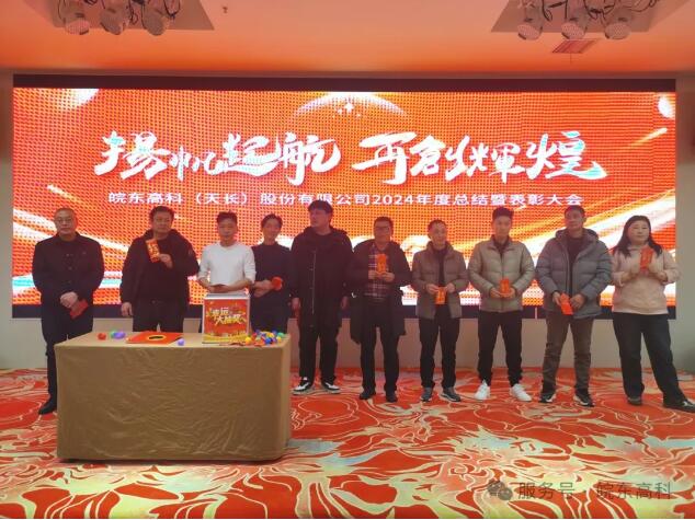 皖东高科璀璨之日：2024年度总结表彰大会暨2025年会庆典盛宴纪实